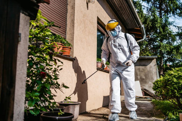 Best Wasp Removal Services  in Elba, AL