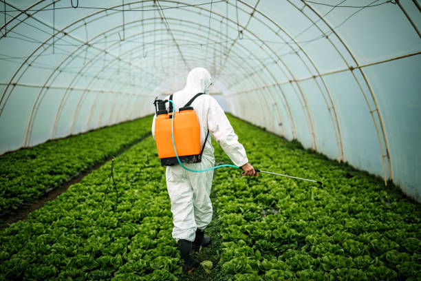 Best Pest Prevention Services  in Elba, AL