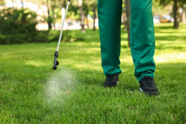 Best Mosquito Control Services  in Elba, AL