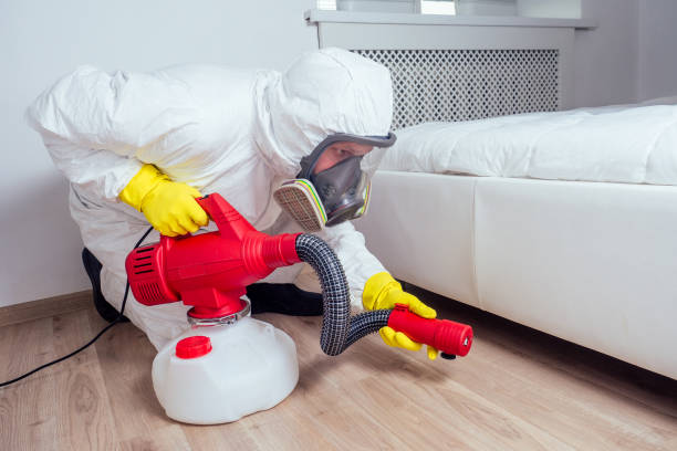 Best Emergency Pest Control  in Elba, AL