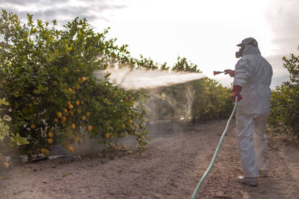 Best Commercial Pest Control Services  in Elba, AL