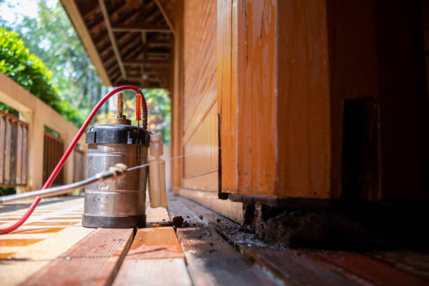 Best Termite Control Services  in Elba, AL