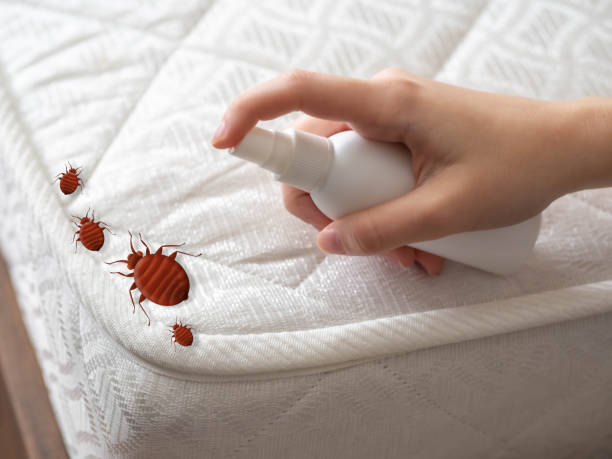 Trusted Elba, AL Pest Control Experts