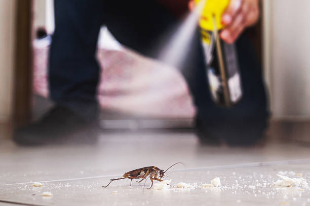 Best Bed Bug Extermination  in Elba, AL