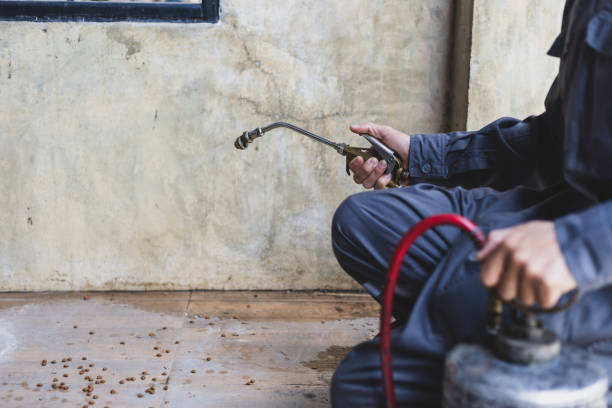 Best Best Pest Control Companies  in Elba, AL